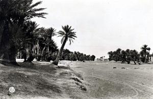 Colomb bechar 518- oued COLLECTION DES AMIS DE ND DE SANTA CRUZ
